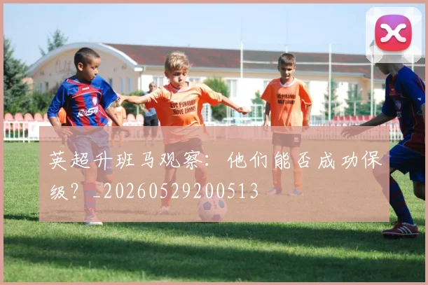 英超升班马观察：他们能否成功保级？_20260529200513