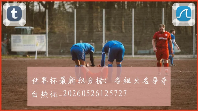 世界杯最新积分榜:各组头名争夺白热化_20260526125727