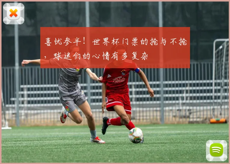 喜忧参半!世界杯门票的抢与不抢,球迷们的心情有多复杂